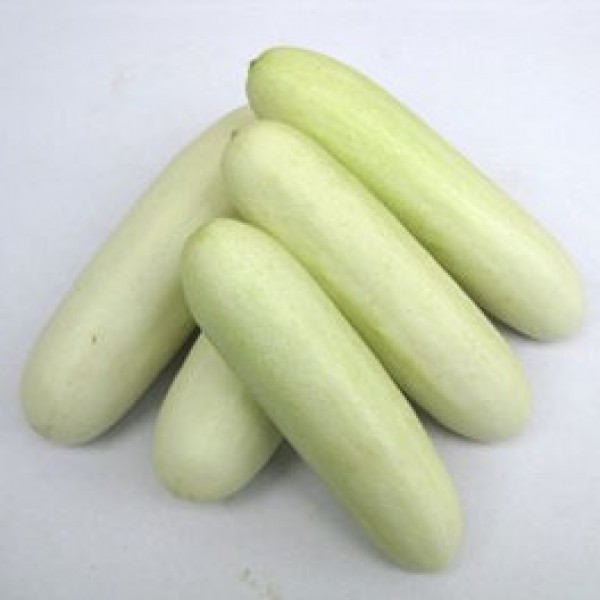 Omaxe Cucumber F1 Snow White seeds
